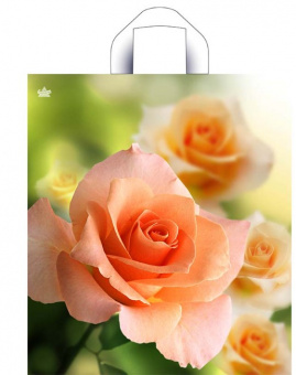015688 утренняя роза